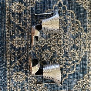 Giuseppe Zanotti silver heels